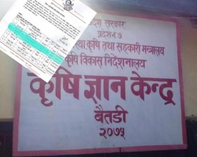 बैतडीमा मकै बालीको अनुदान कसरी पायो वाईन सेन्टरले ?